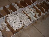 Assorted Smaller PVC Fittings