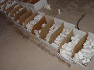 Assorted Smaller PVC Fittings