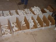 Assorted Smaller PVC Fittings